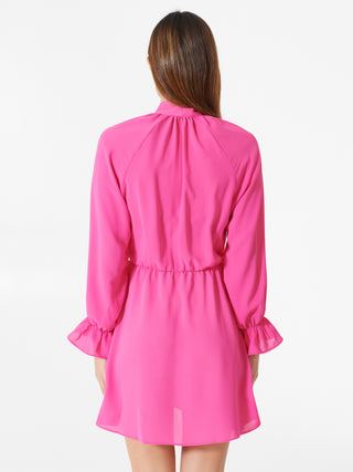 RNS CFC0108620003B238 det_3