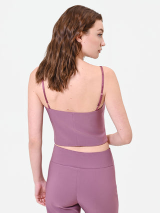 Antique Rose Bustier Crop Top