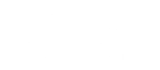 Business Style: Professional elegance to wear every day