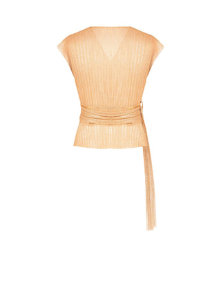 Golden sequin fabric top