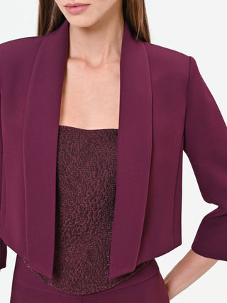 Burgundy Red Cropped Jacket