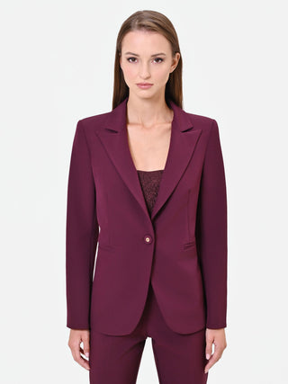 Burgundy Red Single-Breasted Technical Fabric Jacket