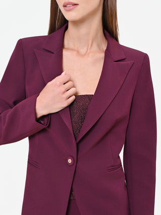 Burgundy Red Single-Breasted Technical Fabric Jacket