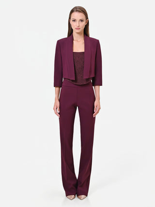 Burgundy Red Cropped Jacket