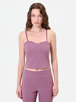 Antique Rose Bustier Crop Top