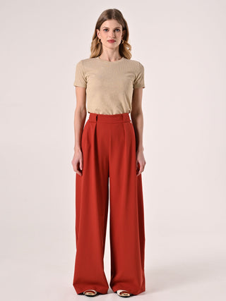 Terracotta Trousers with Darts