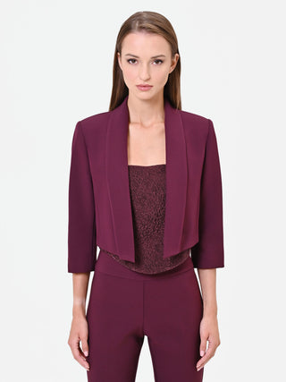Burgundy Red Cropped Jacket