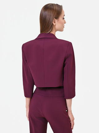 Burgundy Red Cropped Jacket