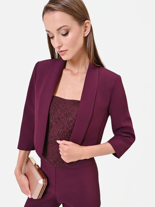 Burgundy Red Cropped Jacket