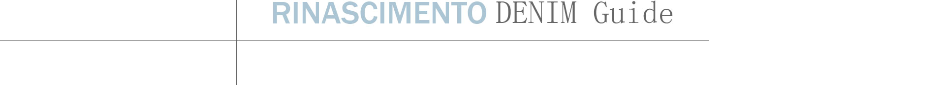 Rinascimento Denim Guide