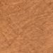Camello Beige Camello Beige