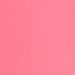 Pink Camelia