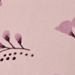 var. Pink var. Pink