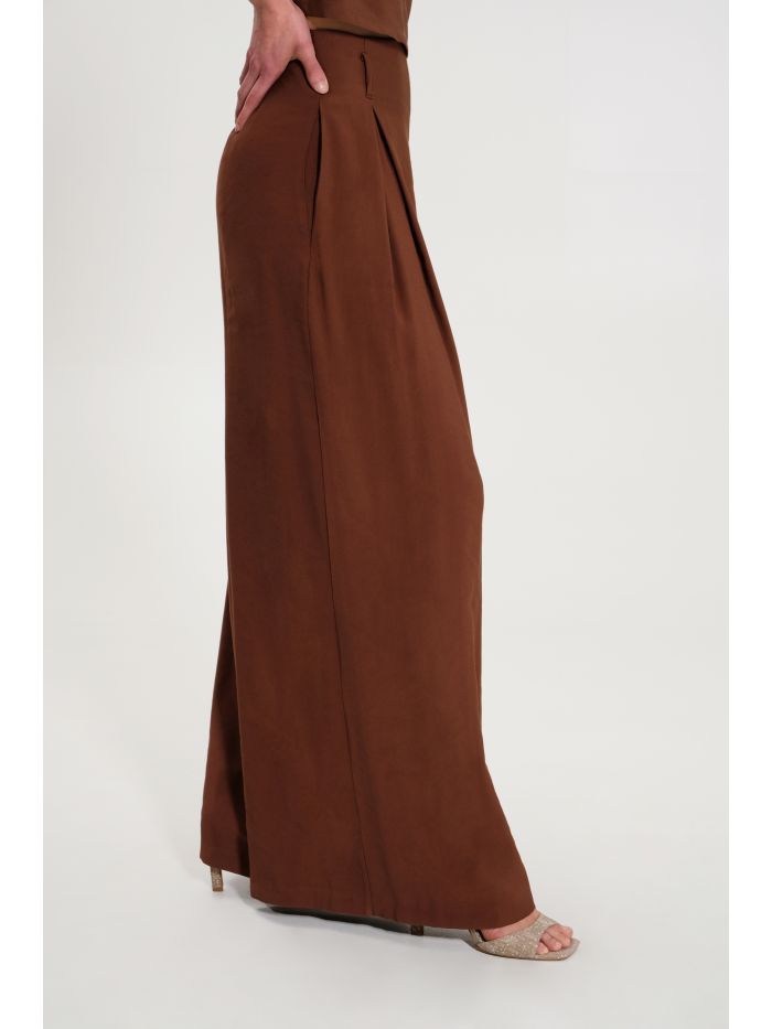 Brown Viscose Trousers in_i7