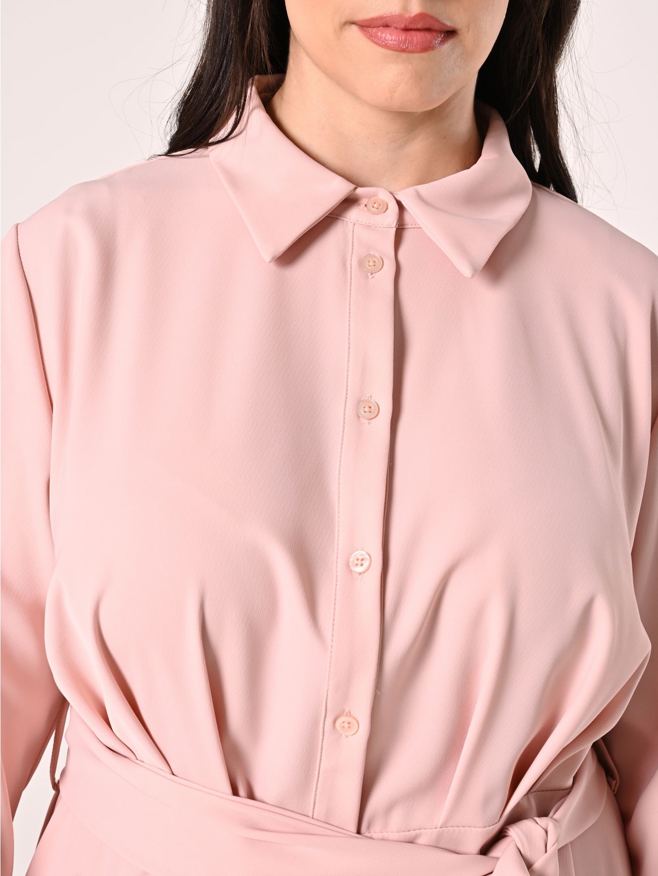 Curvy Pink Blouse in_i5