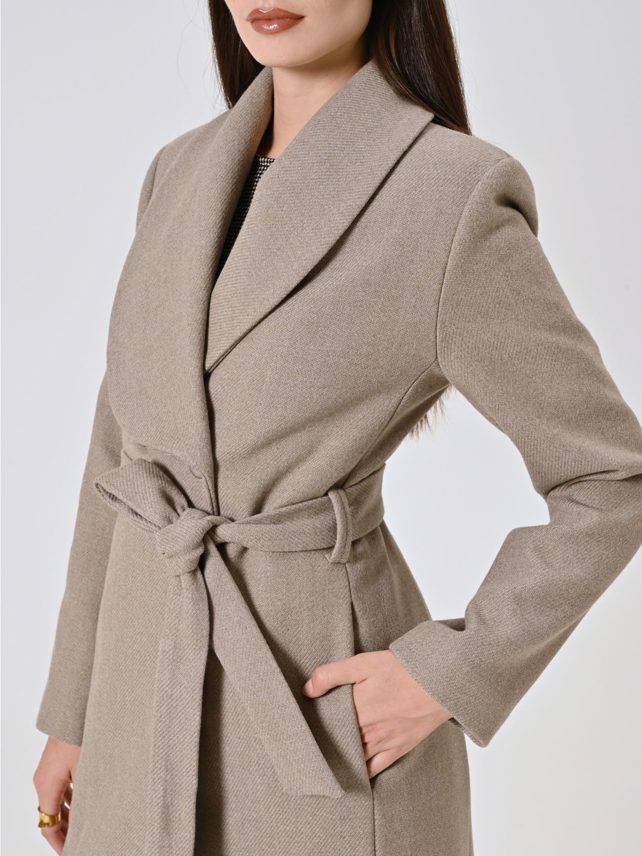 Beige Long Double-Breasted Coat with Wide Lapel in_i5