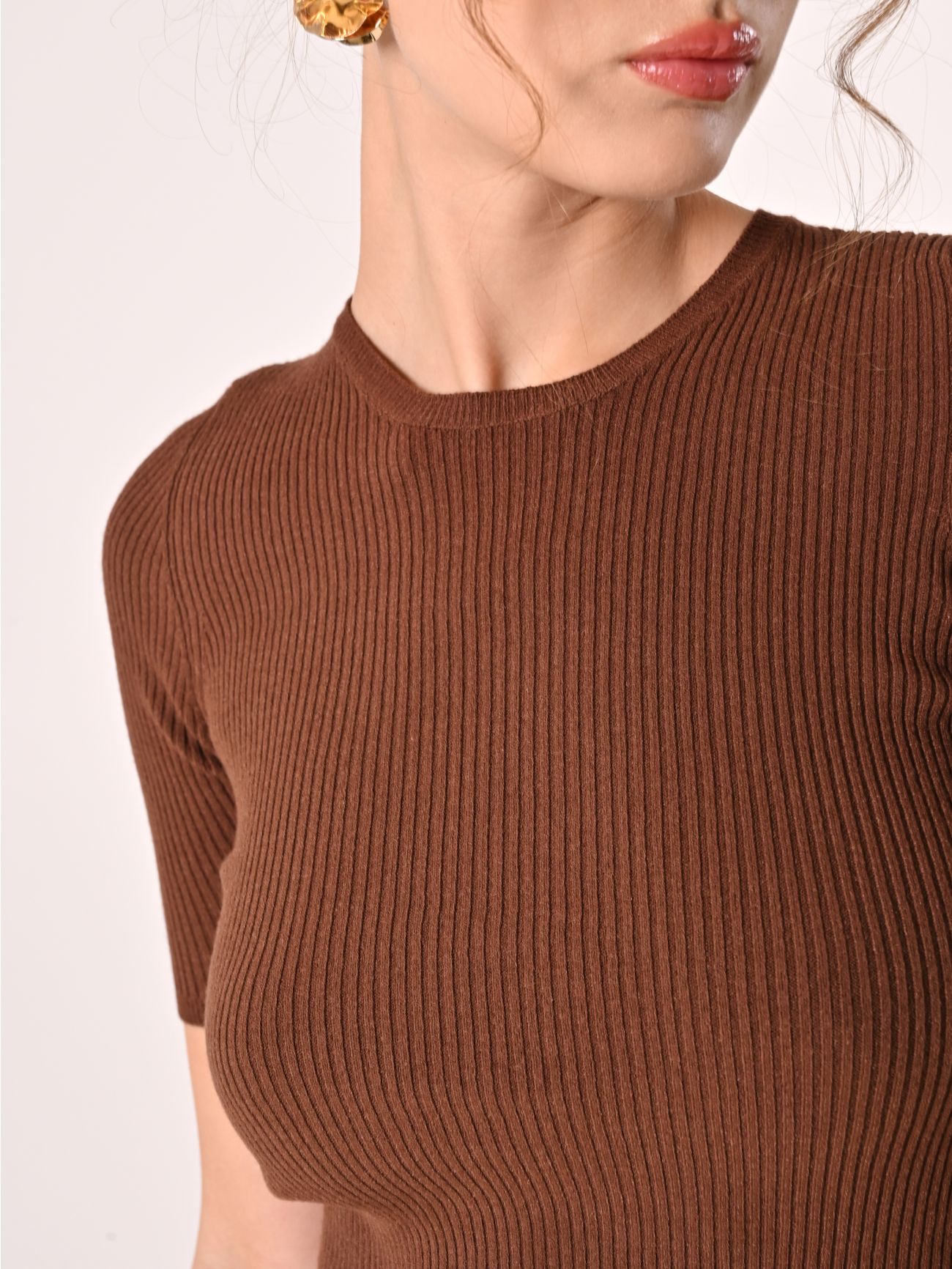 Chocolate Ribbed Crewneck Sweater in_i5