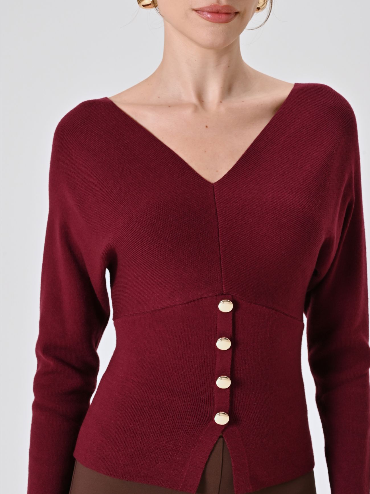 Burgundy V-neck Sweater in_i5