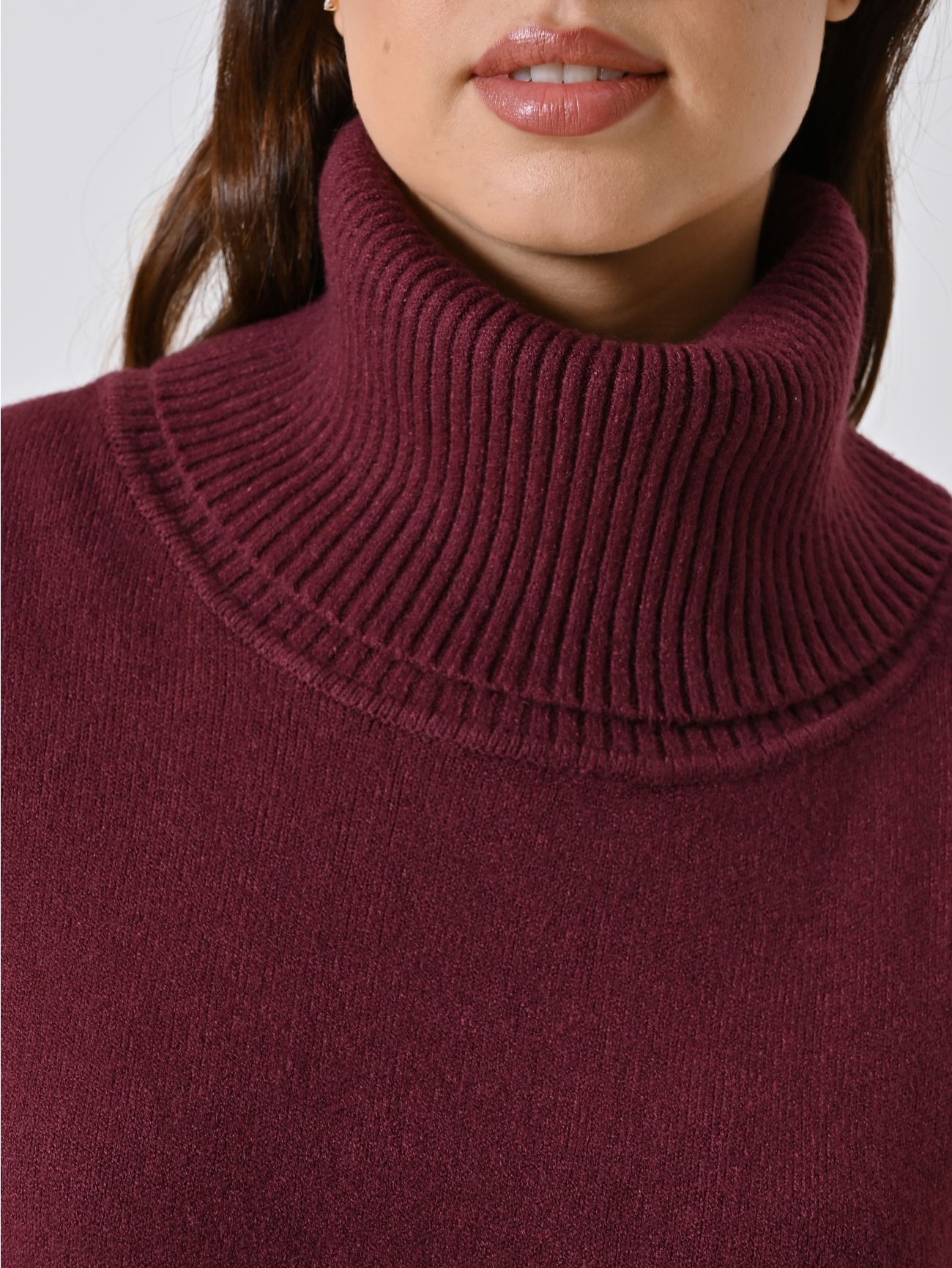 Curvy-Pullover in Bordeaux in_i5