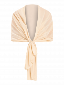 Stola in Georgette Beige det_4
