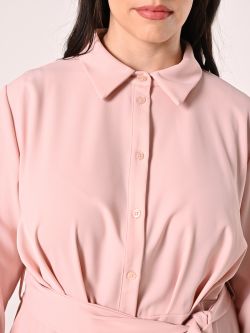 Curvy Pink Blouse in_i5