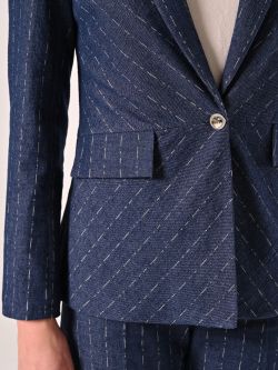 Pinstriped Denim Jacket in_i5