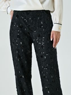 Denim Trousers Embellished with Sequins in_i5