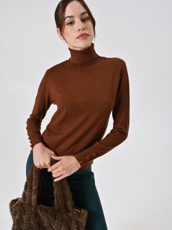 Brown Knit Turtleneck sp_e1