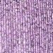 Lilac Lilac