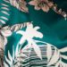 Var. Malachite Var. Malachite