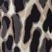 var. Beige var. Beige