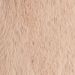 Beige Beige