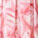 var. Pink Sorbet var. Pink Sorbet