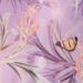 var. Viola Lilla var. Viola Lilla