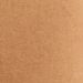 Camel Beige Camel Beige